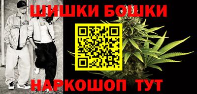 крисы Михайловка
